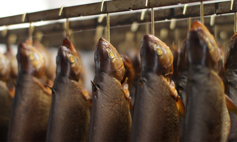 MOHNEN Forellen frisch aus dem Ofen