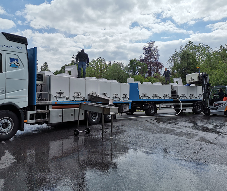 MOHNEN Umladen der LKW