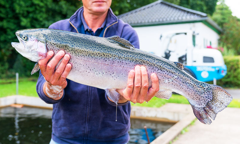 MOHNEN trout fishing